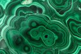 Flowery Polished Malachite Slab - DR Congo #360529-1